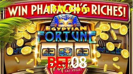 Apostas Esportivas na Bet08: Um Guia Completo